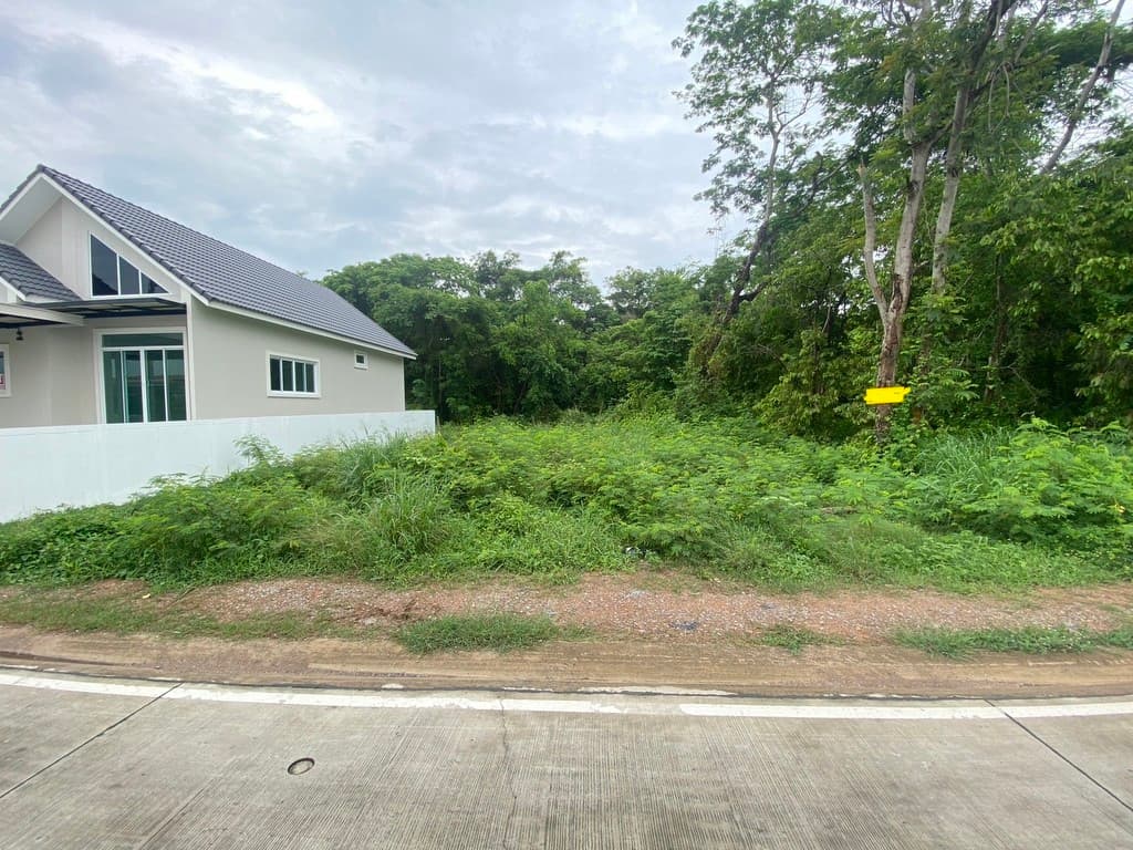 ขายที่ดินเปล่าซอยหลังวัดเขาไผ่ ติดถนน 2 ด้าน ต.เนินพระ อ.เมืองระยอง