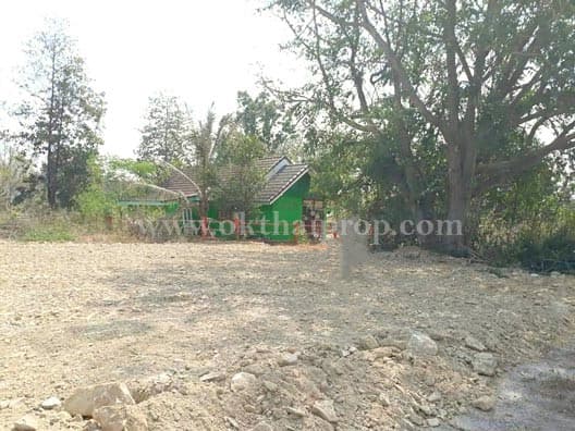 ที่ดินจัดสรรถมแล้ว พุหวายฮิลล์รีสอร์ท อ.ชะอำ จ.เพชรบุรี