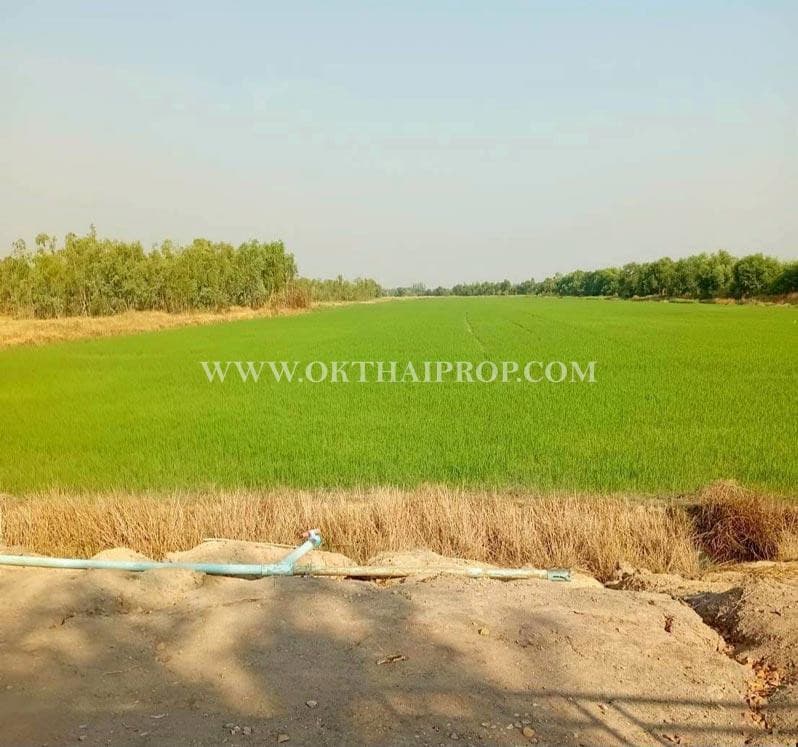 ที่ดิน คลอง14 ถนนรังสิต-นครนายก ใกล้ มศว. อ.องครักษ์ จ.นครนายก