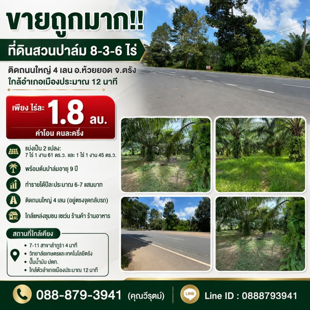 ขายถูกมาก!! ที่ดินสวนปาล์ม 8-3-6 ไร่ ติดถนนใหญ่ 4 เลน อ.ห้วยยอด จ.ตรัง ใกล้อำเภอเมืองประมาณ 12 นาที