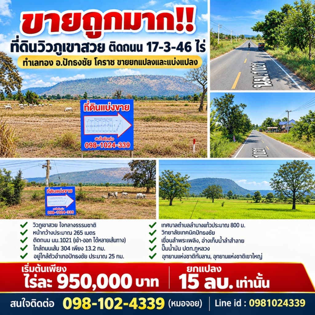 ขายถูกมาก!! ที่ดินวิวภูเขาสวย ติดถนน 17-3-46 ไร่ ทำเลทอง อ.ปักธงชัย โคราช ขายยกแปลงและแบ่งแปลง